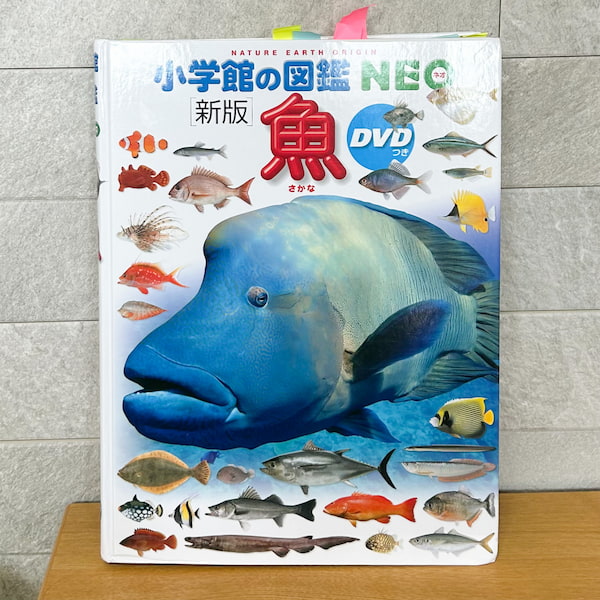 小学館の図鑑NEO「魚」の写真