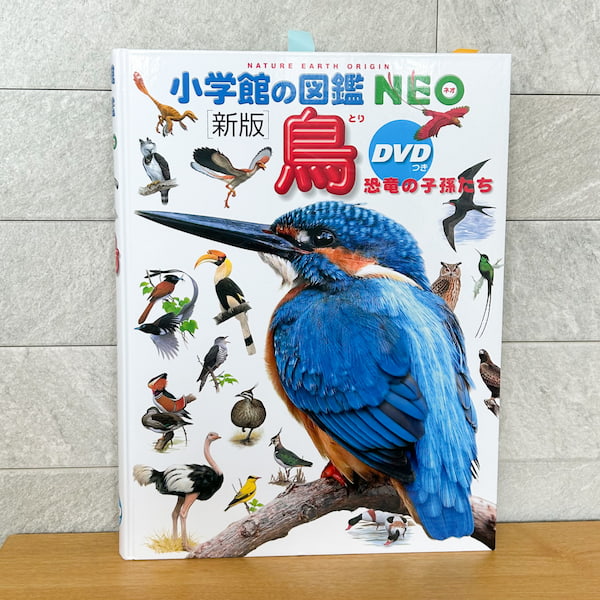 小学館の図鑑NEO「鳥」の写真