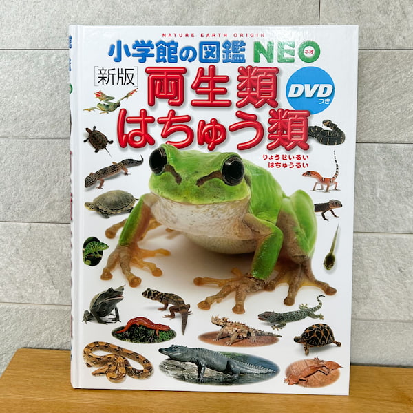 小学館の図鑑NEO「両生類・はちゅう類」の写真