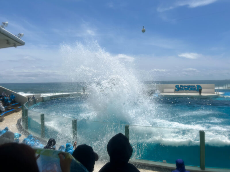 水しぶきの様子